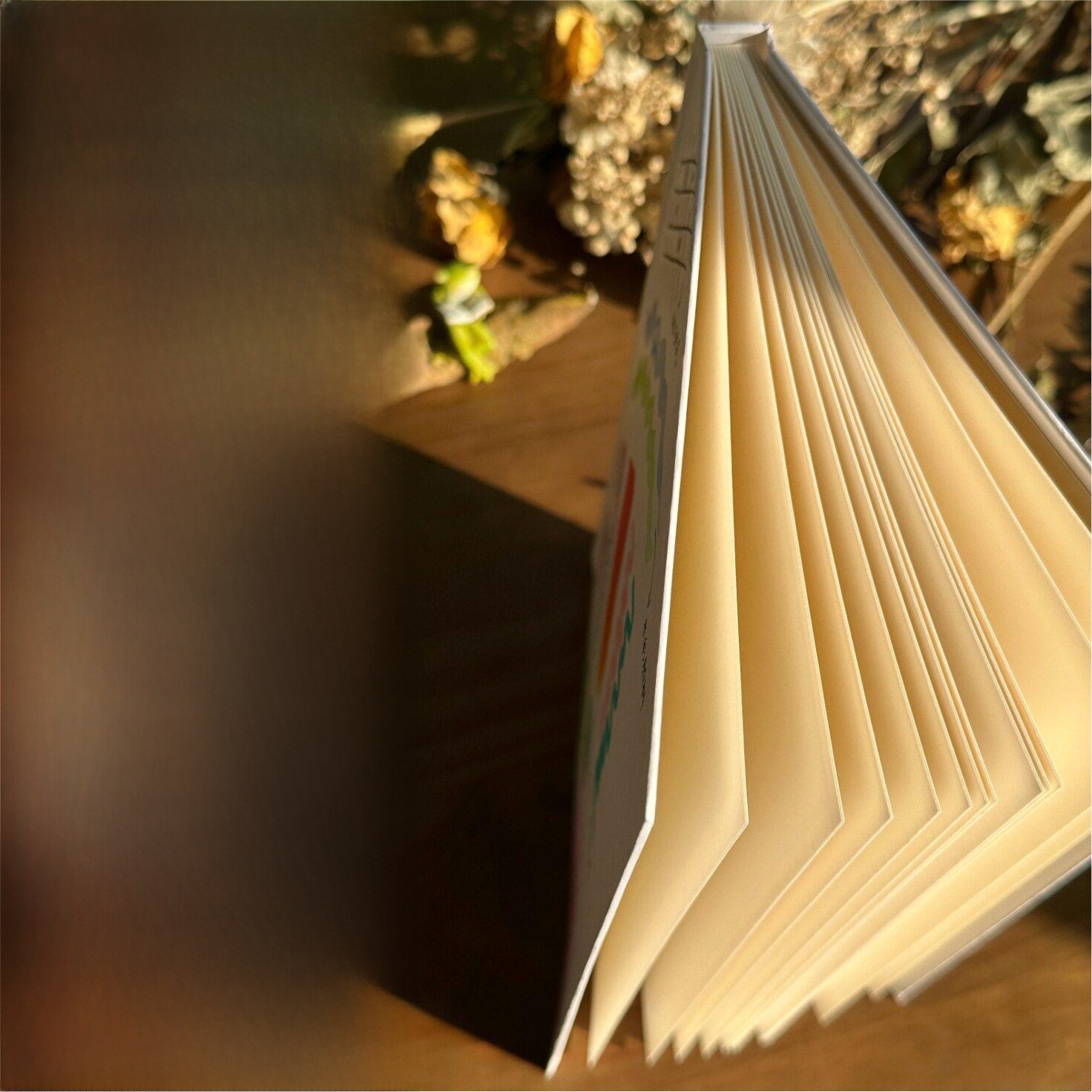 Journal Leather Hardcover - El Çizimi Sert Kapaklı Akordeon Sayfalı